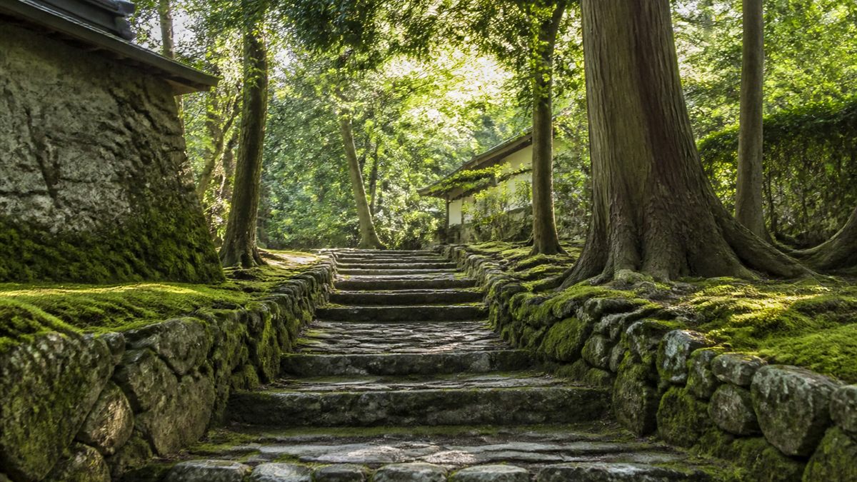 石段と苔のある寺院の庭