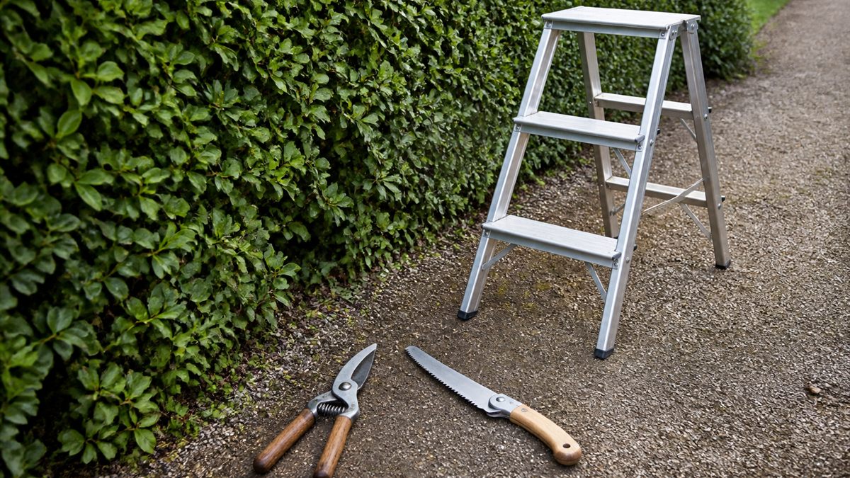 庭仕事の道具と脚立