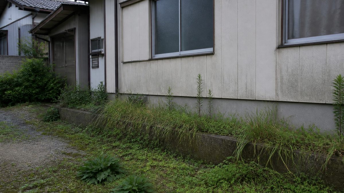 誰も手入れしていない空き家の外壁