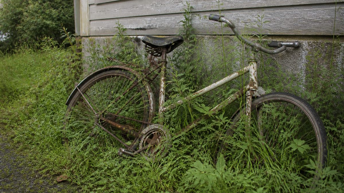 草に埋もれた放置自転車