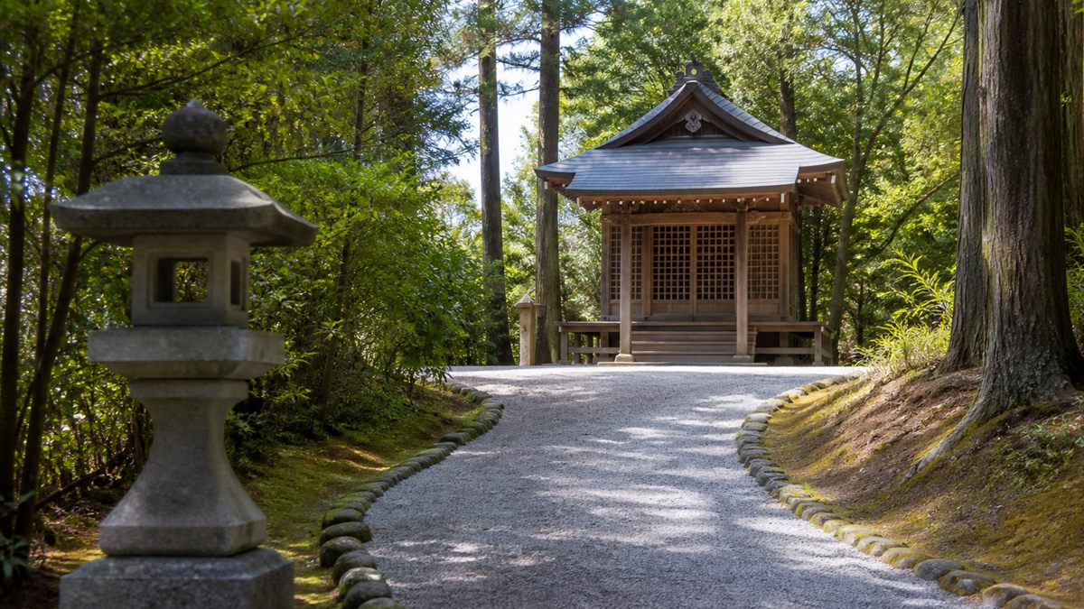 石灯籠が立つ神社の参道