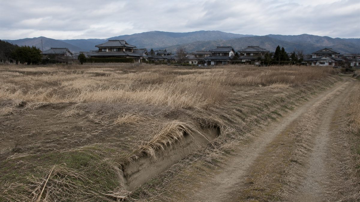 耕作されなくなった田と、その先に見える集落